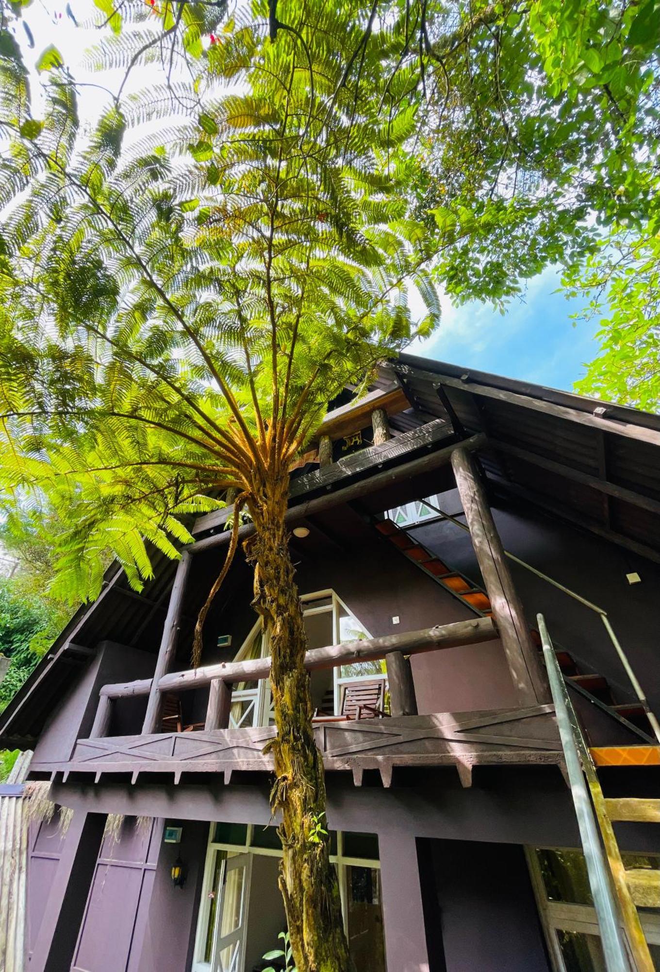 King Fern Cottage Nuwara Eliya Bagian luar foto