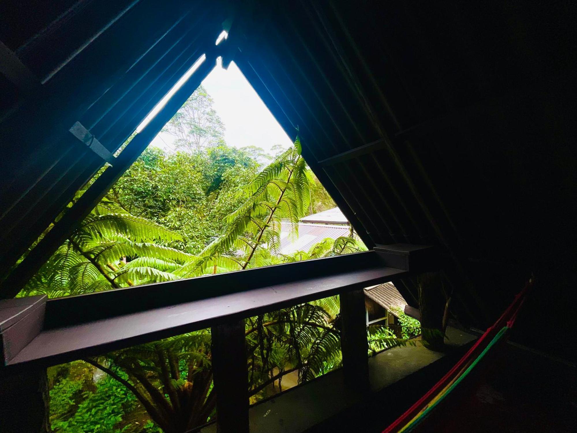 King Fern Cottage Nuwara Eliya Bagian luar foto