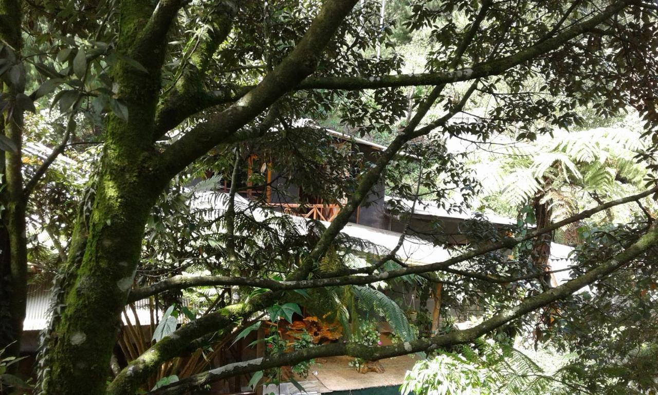 King Fern Cottage Nuwara Eliya Bagian luar foto