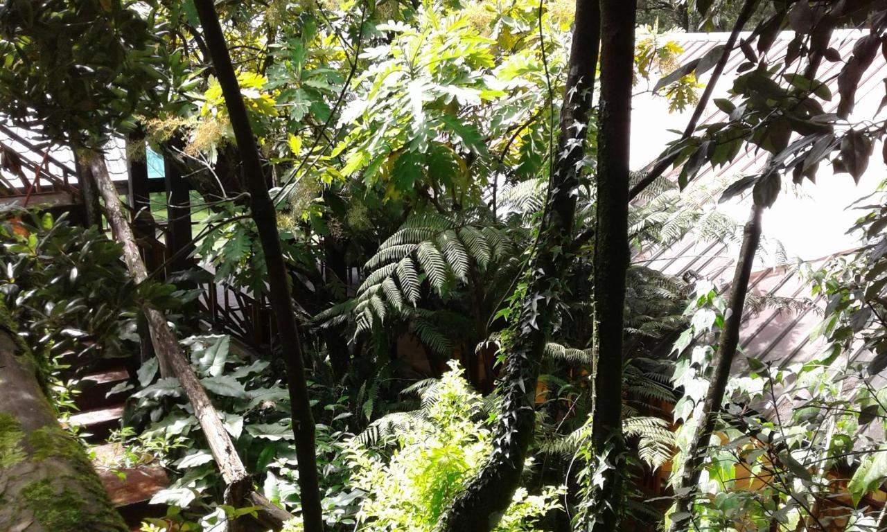 King Fern Cottage Nuwara Eliya Bagian luar foto