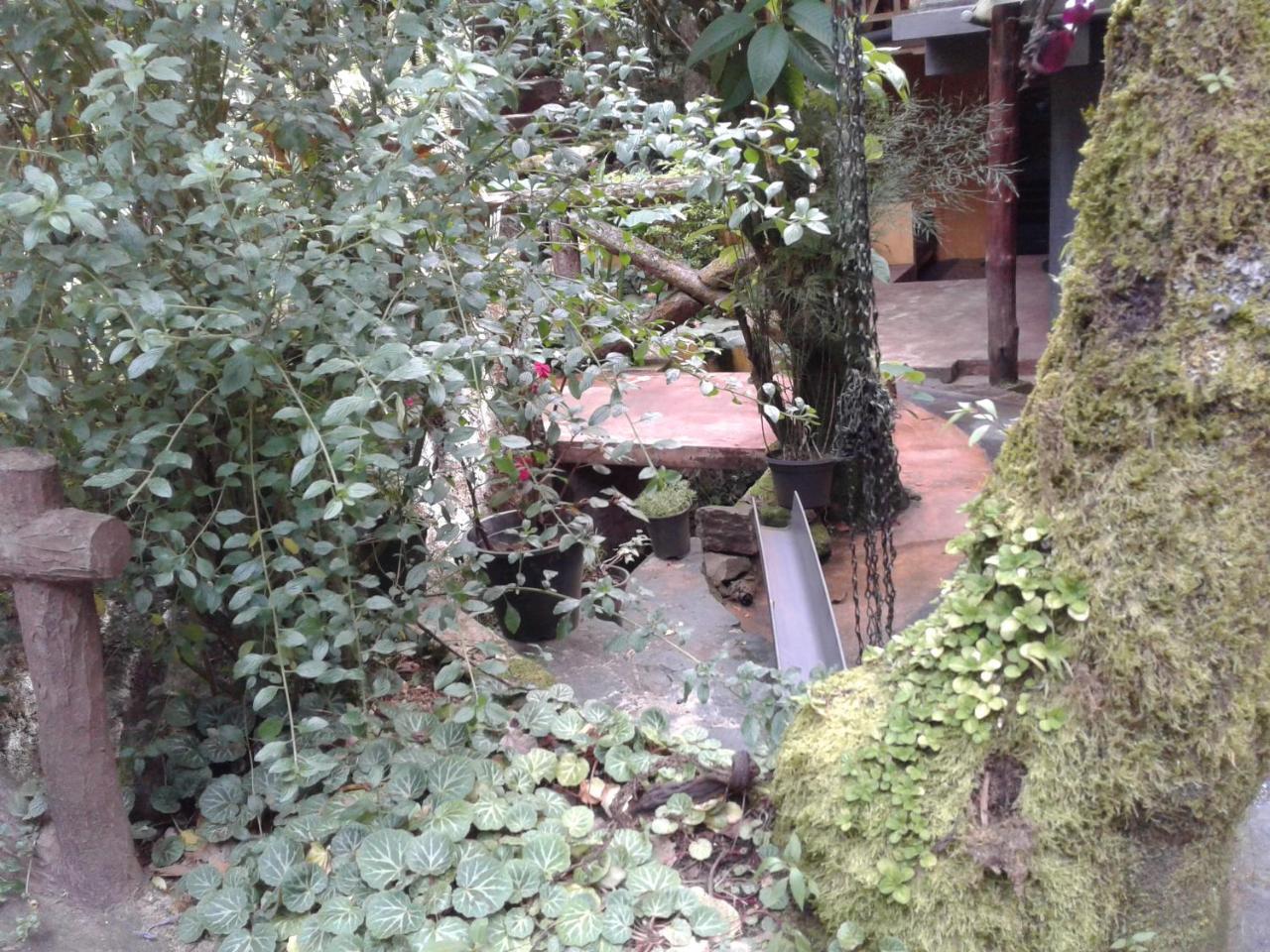 King Fern Cottage Nuwara Eliya Bagian luar foto